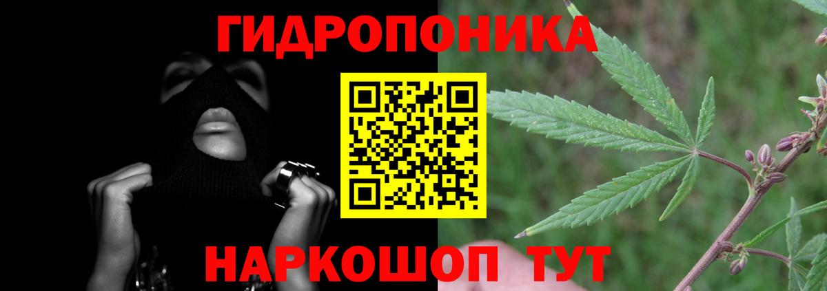 Шишки марихуана AK-47  Марихуана White Widow  Чита  Вход с VPN 